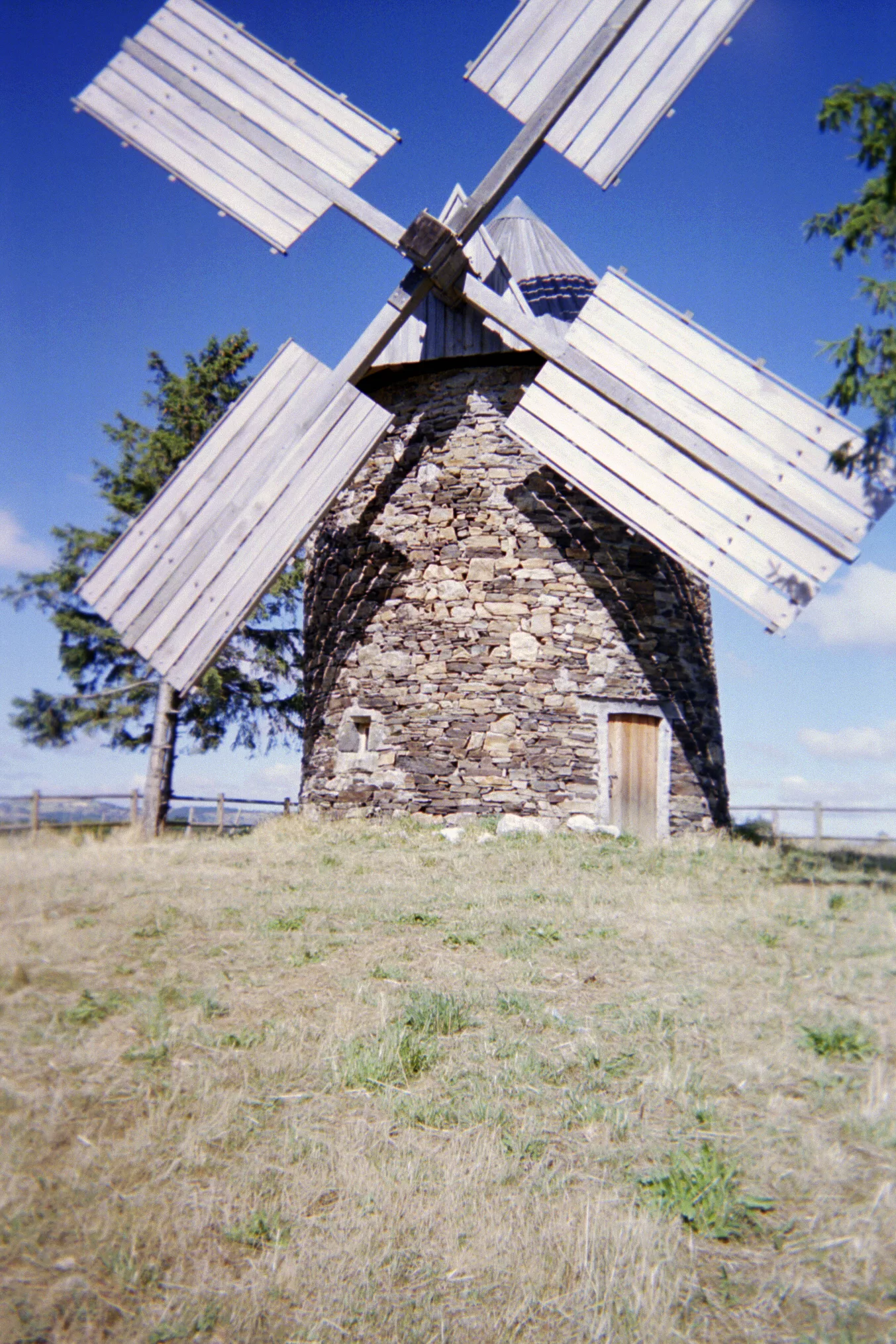 Stone windmill with wooden sails between two fir trees under a blue sky