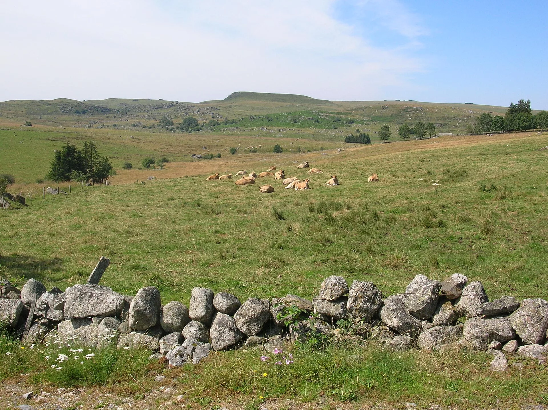A lone stone herders' hut on the Aubrac pastures at sunset